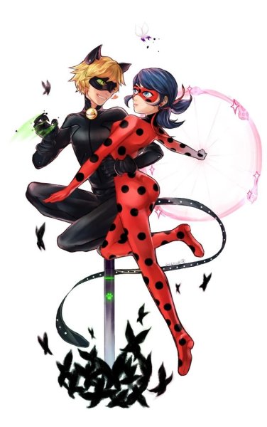 Miraculous Ladybug & Cat Noir