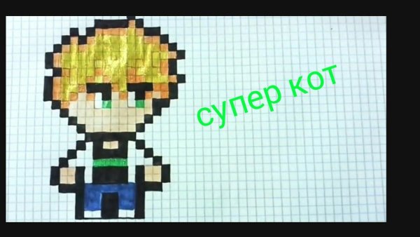 Супер кот по клеткам