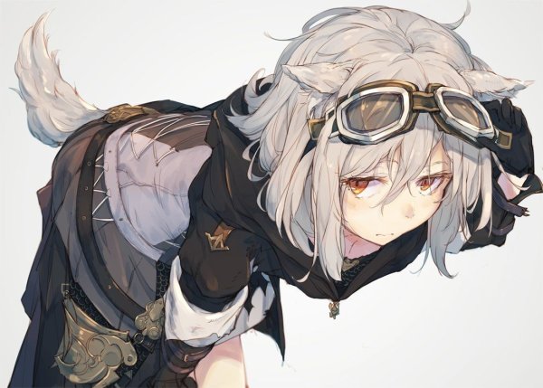 Kashii (amoranorem)