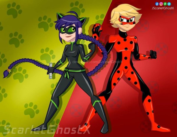 Miraculous Ladybug леди Нуар Мистер баг