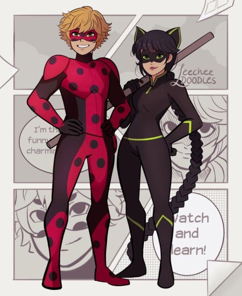 Miraculous Ladybug леди Нуар Мистер баг