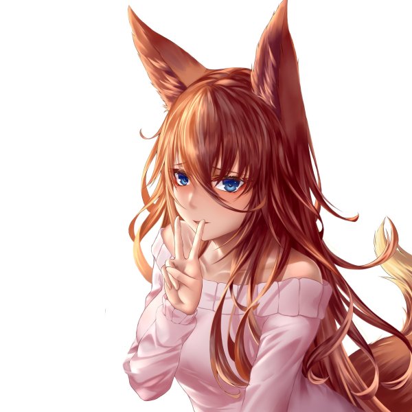 Kemono friends Aardwolf