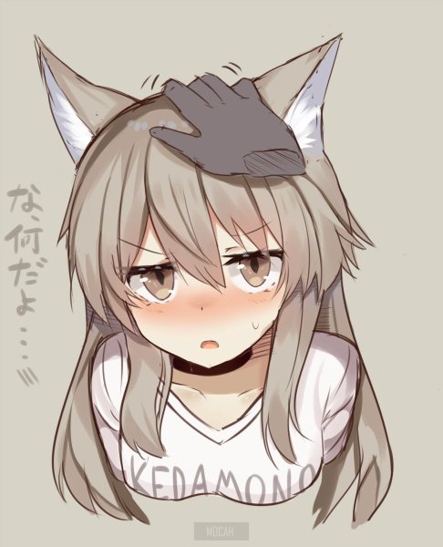 Кошкодевочки этти