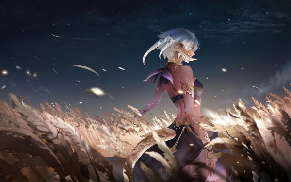 Final Fantasy 14 аниме