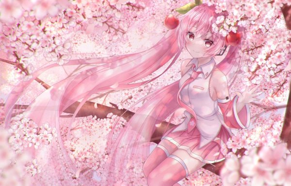 Sakura Miku (Сакура Мику)