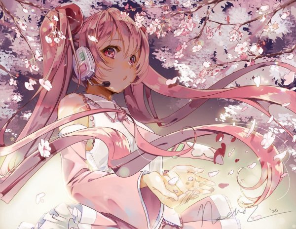 Sakura Miku (Сакура Мику)