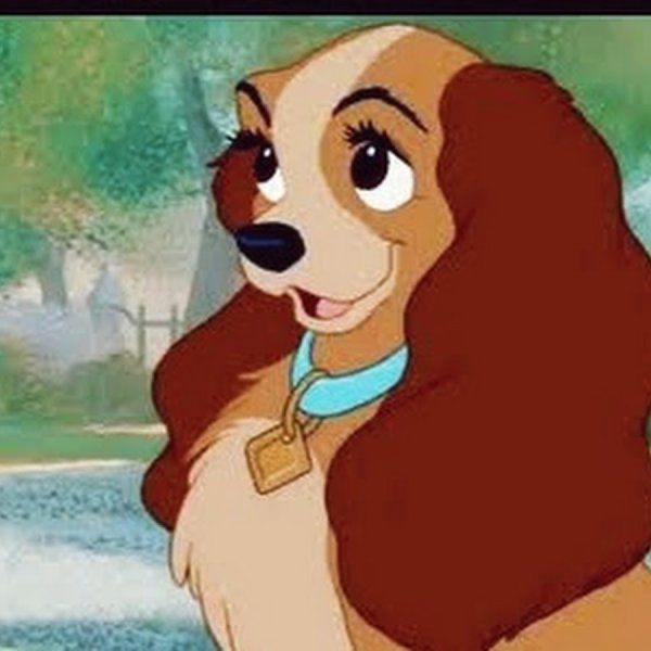 Леди и Бродяга мультфильм Disney