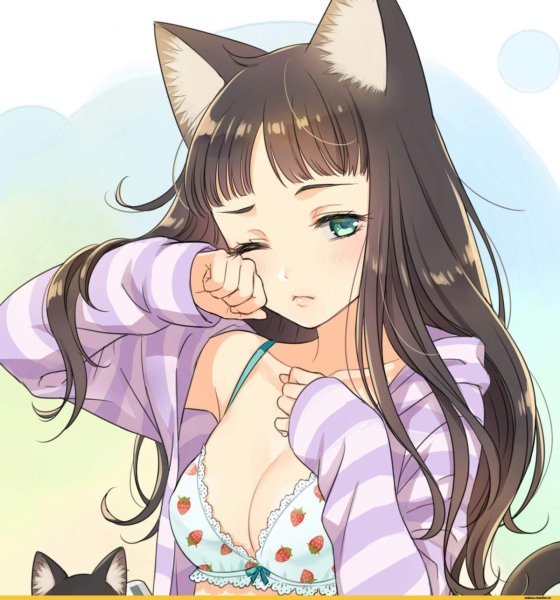Кошкодевочка Neko