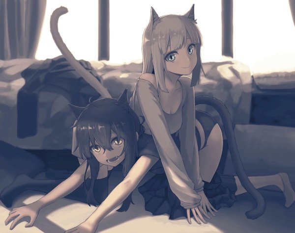 Аниме кошкодевочки