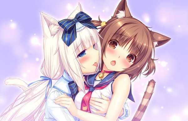 Nekopara адзуки