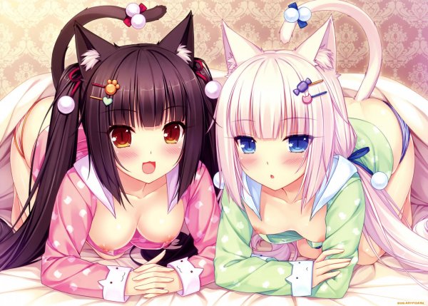 Nekopara Chocola