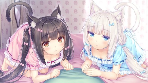 Кошачий рай Nekopara