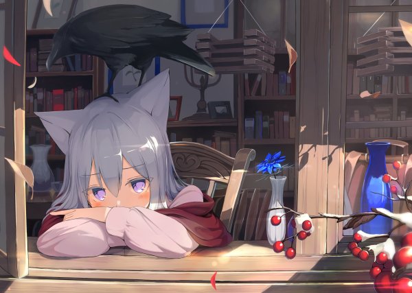 Аниме кошкодевочки