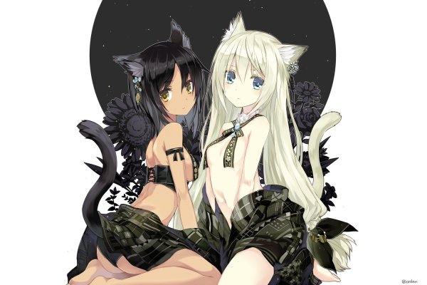 Кошкодевочки Фэйт
