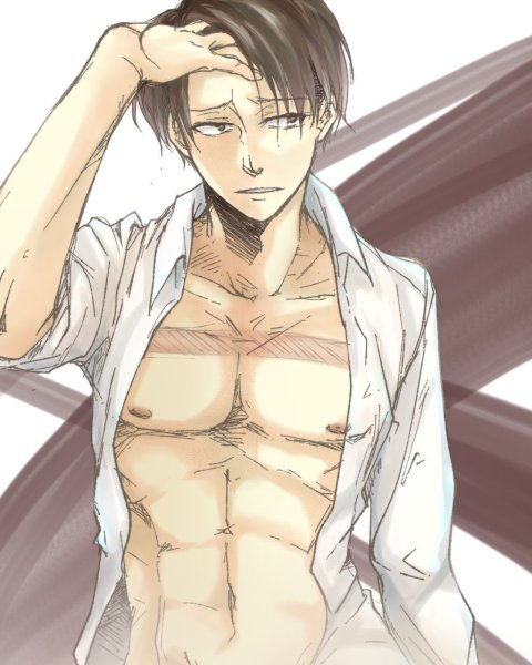 Todoroki Shouto торс