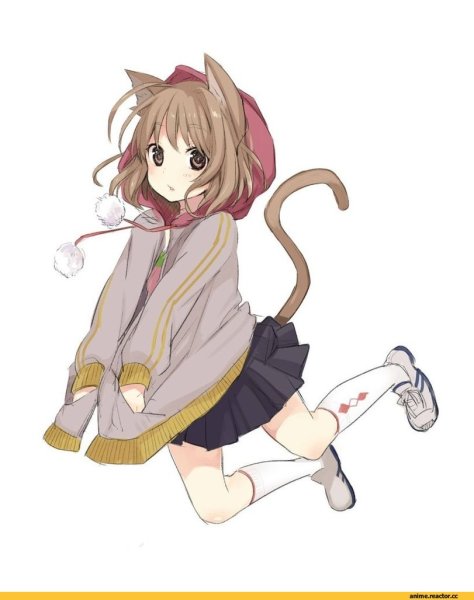 Аниме девочки кошки