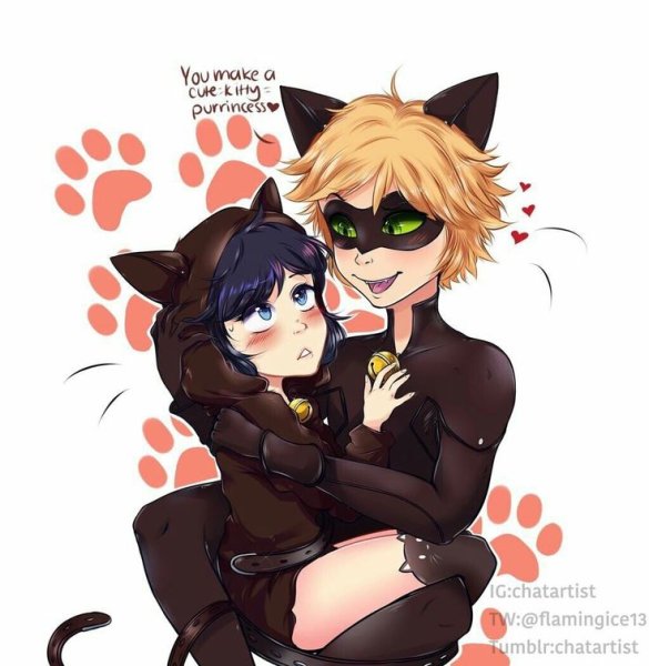 Маринетт Дюпен Чен и кот Нуар