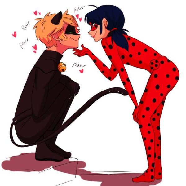 Леди Нуар Miraculous