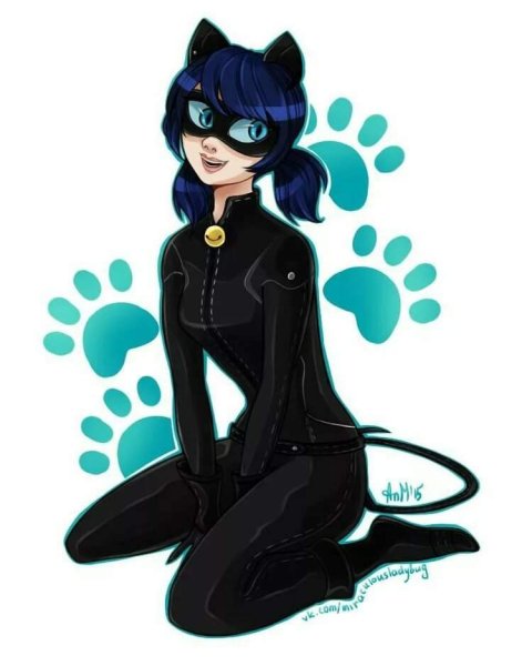 Леди Нуар Miraculous