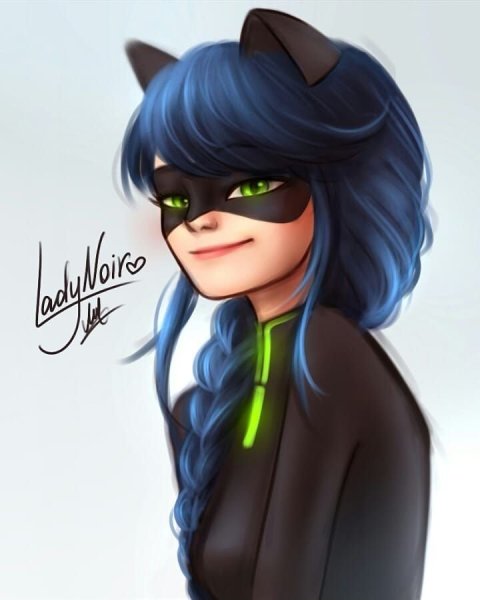 Леди Нуар Маринетт кошка