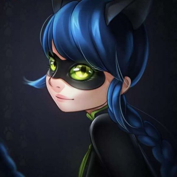 Маринетт леди кошка