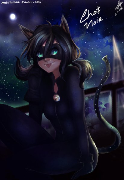Леди Нуар Маринетт кошка