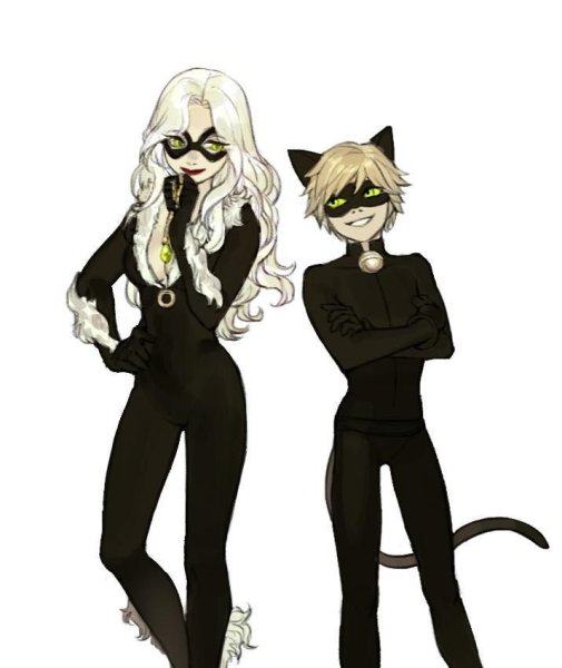 Кот Нуар и кот Блан