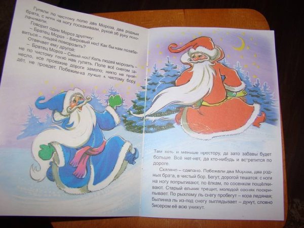 Два Мороза книга