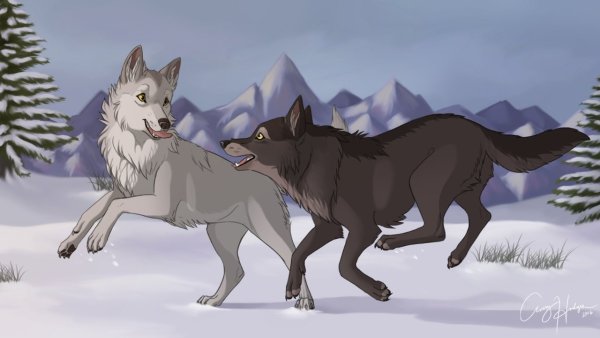 WOLFQUEST 3 волки