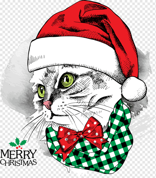 Котик в новогодней шапочке