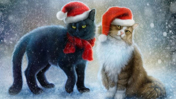 Новый год коты