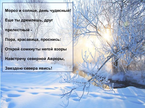 Мороз и солнце; день чудесный! Еще ты дремлешь, друг прелестный, - пора,