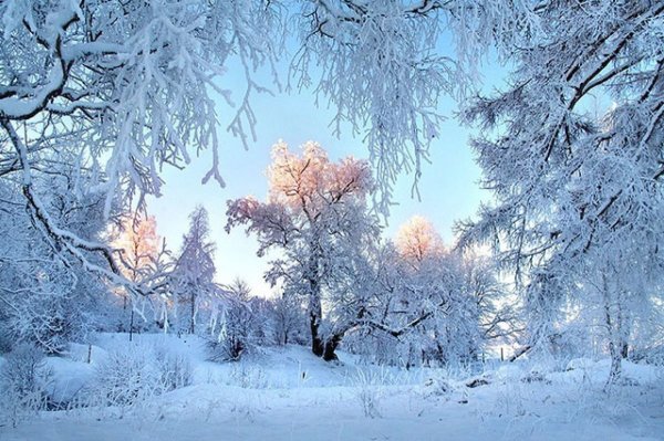 Зимний пейзаж февраль