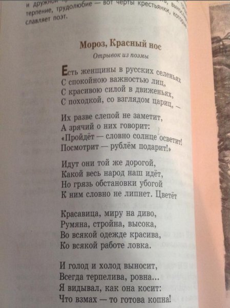 Отрывок из поэмы Некрасова Мороз красный нос