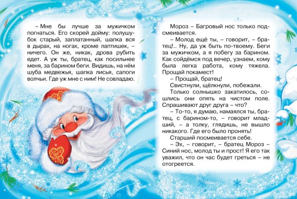 Два Мороза книга