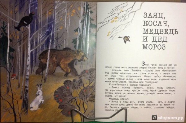 Бианки заяц Косач медведь и дед Мороз