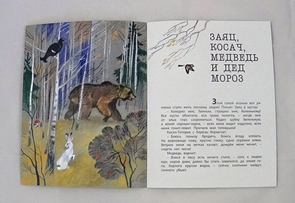 Бианки заяц Косач медведь и дед Мороз