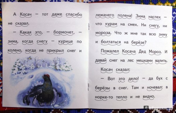 Заяц, Косач, медведь и дед Мороз Виталий Бианки