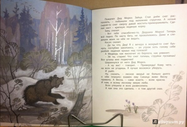 Заяц Косач и медведь