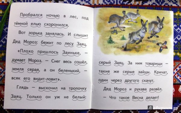 Виталий Бианки заяц Косач медведь и Весна