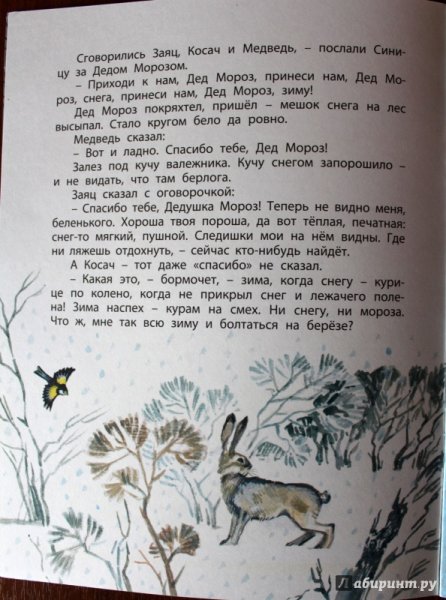 Заяц, Косач, медведь и дед Мороз Виталий Бианки