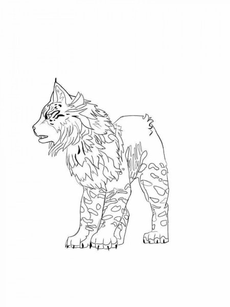 WILDCRAFT Рысь