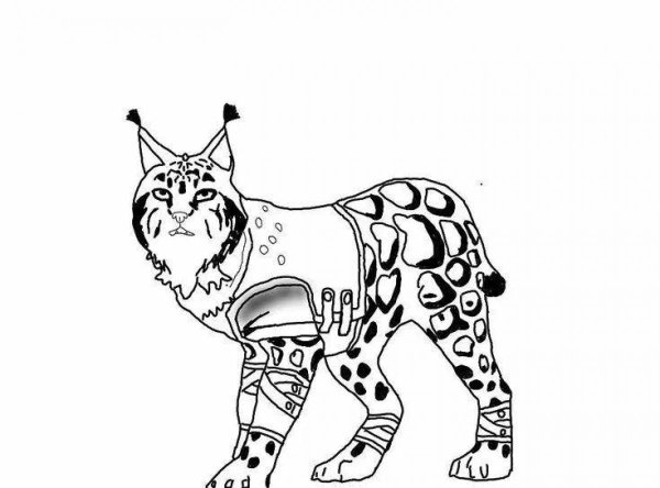 Раскраска WILDCRAFT