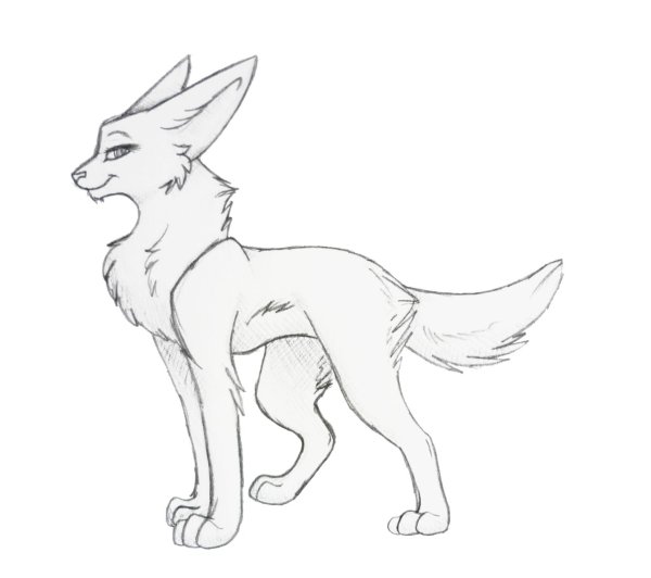 WILDCRAFT фенек