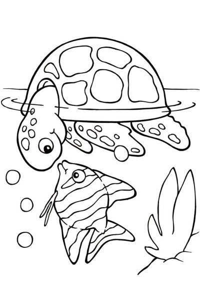 Раскраски аквариум с черепашками (36 фото)