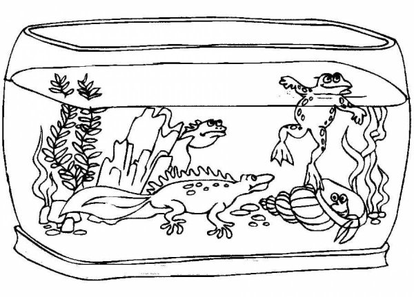 Раскраска аквариум с рыбками