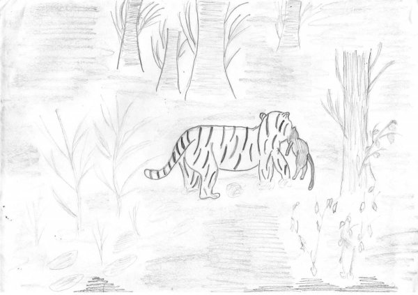 Рисунки животных 11 класс