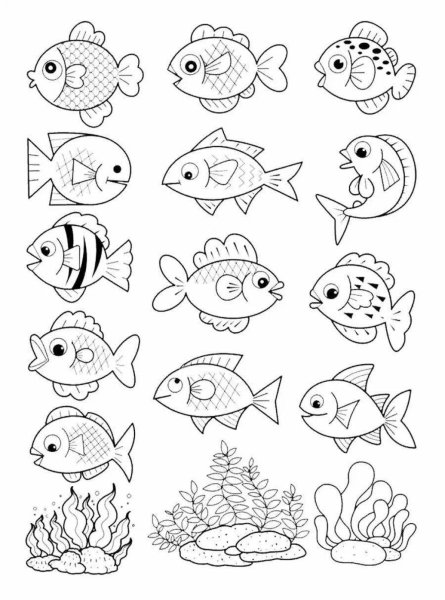Раскраски настоящие рыбки (43 фото)