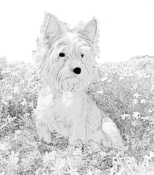 Раскраски арт собака (45 фото)