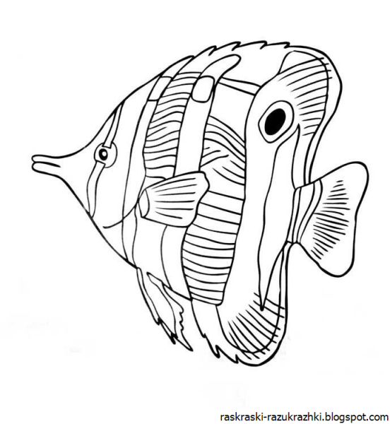 Морские рыбки раскраска